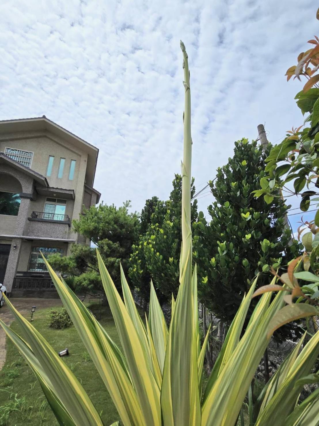 Mandy'S House B&B Shangwu Exterior photo